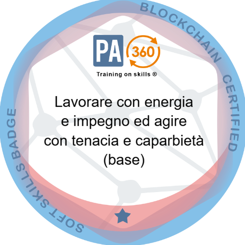 Badge pubblico 68066